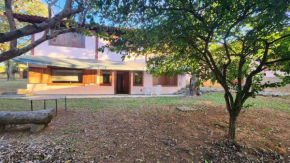 Jardim Loft Pinda